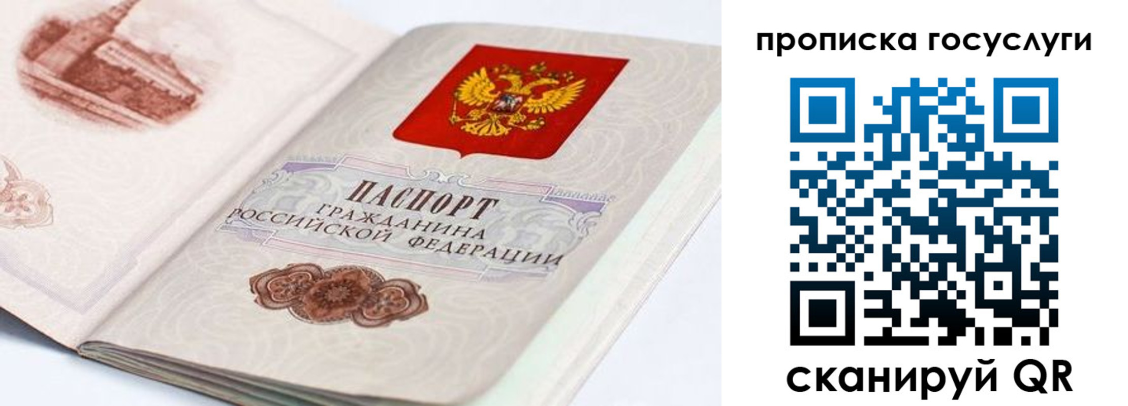 прописка регистрация в Новочеркасске